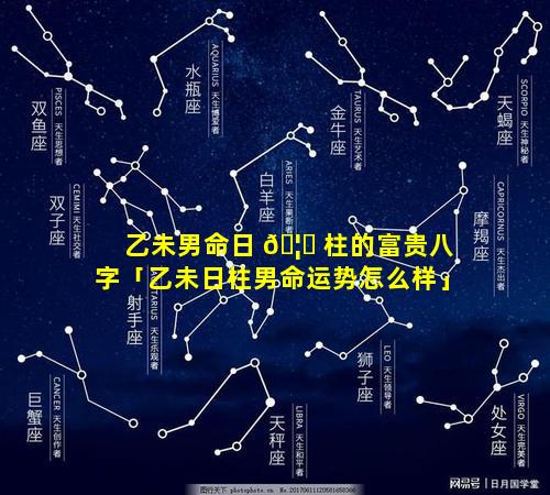 乙未男命日 🦈 柱的富贵八字「乙未日柱男命运势怎么样」
